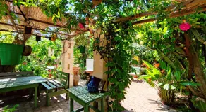 La casa nel villaggio - Image 3