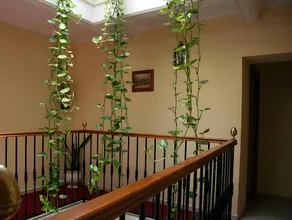 Hostal Bahía - Image 5