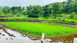 Kaladri Sahyadri Hill Farm Stay - Image 2