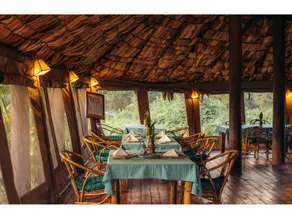 Crater Forest Tented Lodge - Image 3