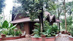 Vibez eco resort - Image 5
