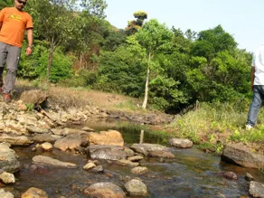 Base camp Kudremukha - Image 4