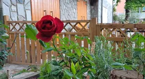 B&B Borgo dei Cedri - Image 1