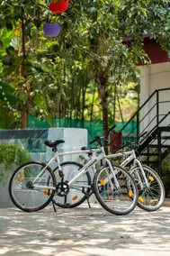 Villa Barbosa, 2 BHK Villa & Luxury Rooms near Colva, Sernabatim, Benaulim Beach - Image 3