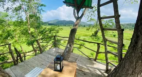 Exciting Tree house and 2 Chalets, Spring valley farm stay Buttala, Okkampitiya - Image 3