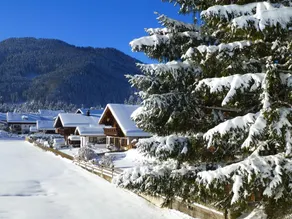 Gemütliche Alpenwohnung in Altenau - Image 5