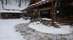 Cabana Perla - Image 5