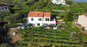 In Vino Veritas B&B - Image 5