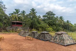 Dandeli Wild River Resort - Image 4