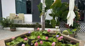 Mai Anh Đào Hotel - Image 5