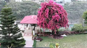juSTa Riverside Resort Srinagar - Image 3
