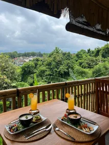 The Manja Villa & Retreat Lovina - Image 5
