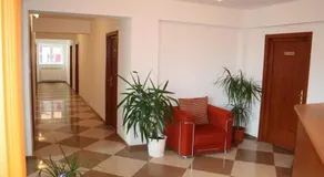 Steluta - Image 4