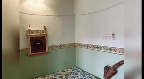 Heritage Vibes - Image 2