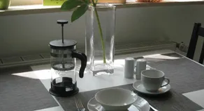 Appartamento totalmente attrezzato con giardino | Vista sul giardino - Image 4