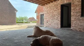 De Viervoeters Hoeve - Image 4