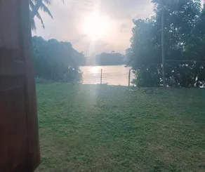 Lotus Vibe Resort - Image 5