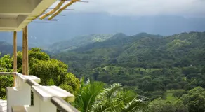 El Templo- Jungle Mirador - Image 4