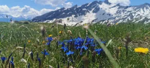 Cosy and quiet private place in Central Valais - Image 2