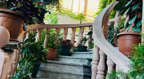 Nana's House - Image 5