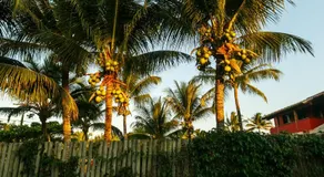 Casa do Pescador - Image 3