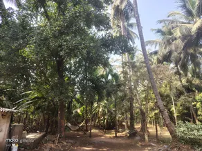 Shree samarth krupa heritage holiday home - Image 4