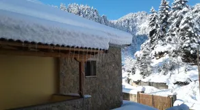 Elatos cozy Studio - Image 5
