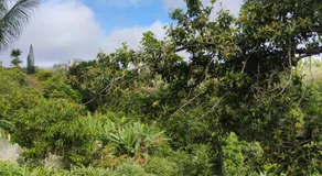 Apartamento cercado por natureza e diversão - Image 2