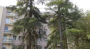 Orchidea - Image 5