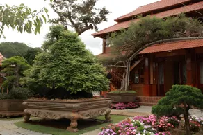 Gỗ Home - Image 5