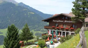 Alpengasthaus Gleinserhof - Image 3