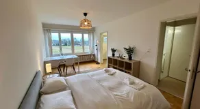 Cozy Studio in Witikon District - Image 2
