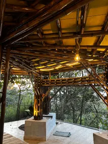 NESTORY forest retreat - Image 5
