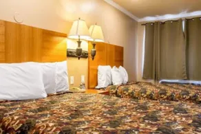 Wildcat Inn - Image 3
