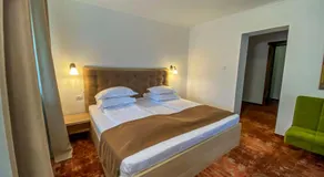 Casa cu Tei - Sarata Monteoru - Image 2