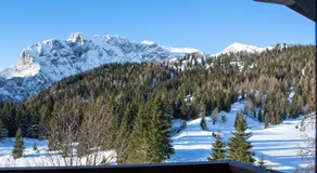 Nassfeld Frühstückspension Wulfenia da Livio - Image 3