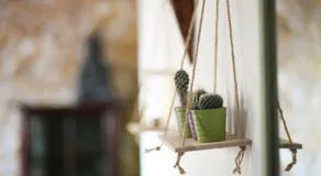 Zen House - Image 5