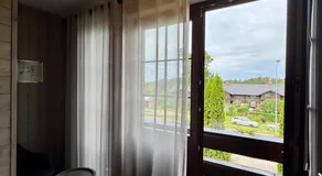 Green bear - Image 4