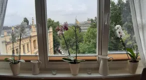Wohnung mit Blick über Potsdam - Image 4