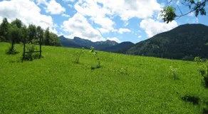 Bergblick - Image 5