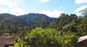 Casa Dona Zezé - Image 4