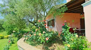 Villa Kleopatra - Image 5