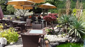 Le Jardin du Thé Bord de la Meuse - Image 3