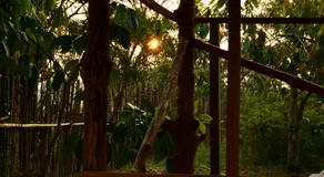 Casa do Xingú - Image 4