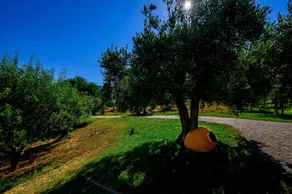 Herdade do Mondego - Image 2