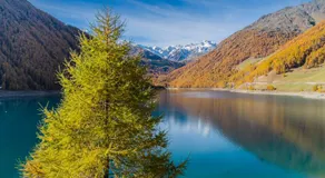Berghotel Tyrol - Image 4