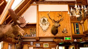 Hope Lodge - Image 3