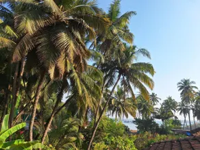 Anand Nivas Homestay - Image 3