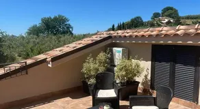 L'Oro Verde - Image 5