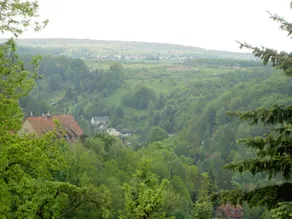 by the forest Modern retreat - Image 4